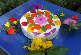 Edible Flowers List: 5 Plants for Culinary Creations